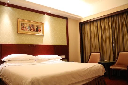 Vienna Hotel Airport