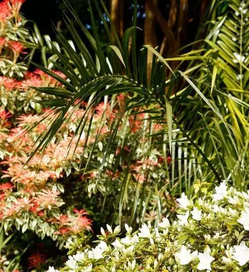 ベッドアンドブレックファースト The Dog House, Penryn