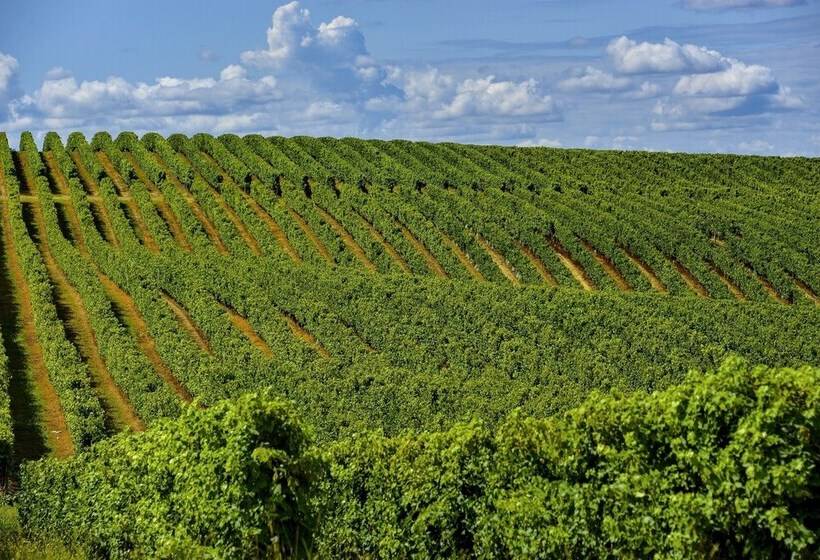 Vacancéole   Domaine De Saint Orens