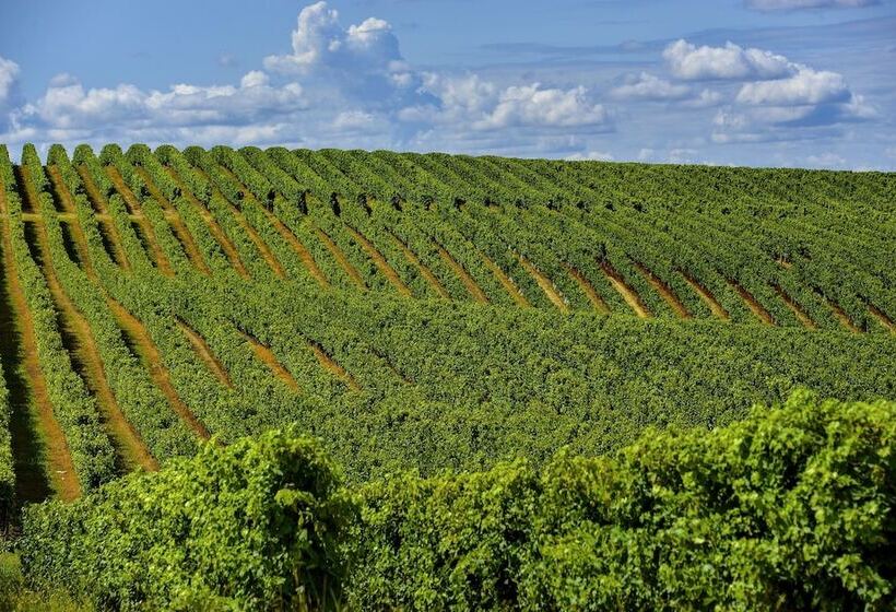 Vacancéole   Domaine De Saint Orens