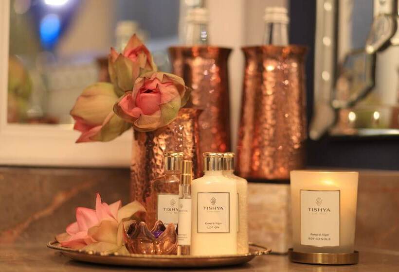 هتل The Leela Gandhinagar