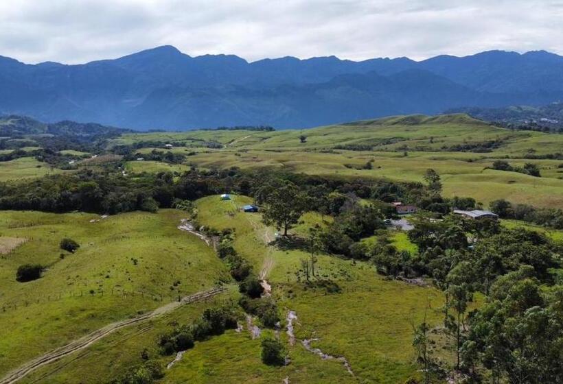 Panzió Villa Paulina