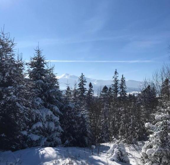 בית מלון כפרי Novoe Shale