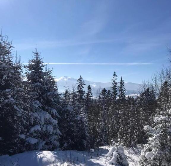 בית מלון כפרי Novoe Shale