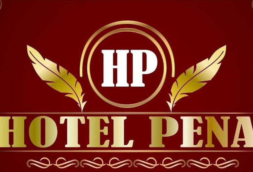 Отель Penna