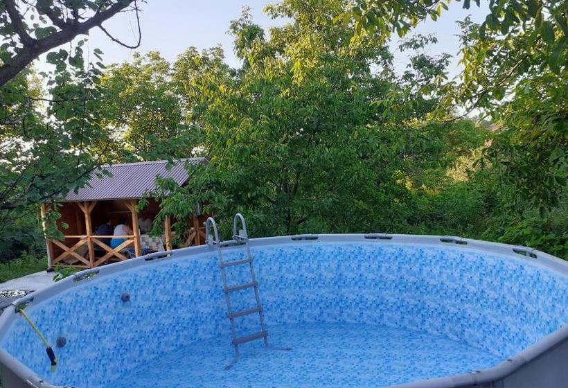 Пансион татьянин двор