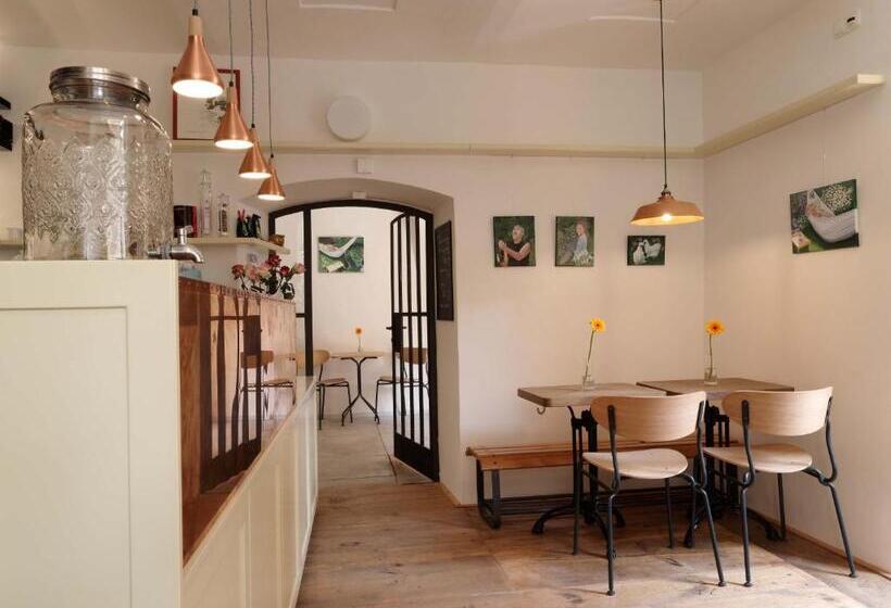 膳宿费 Bonviván Apartments