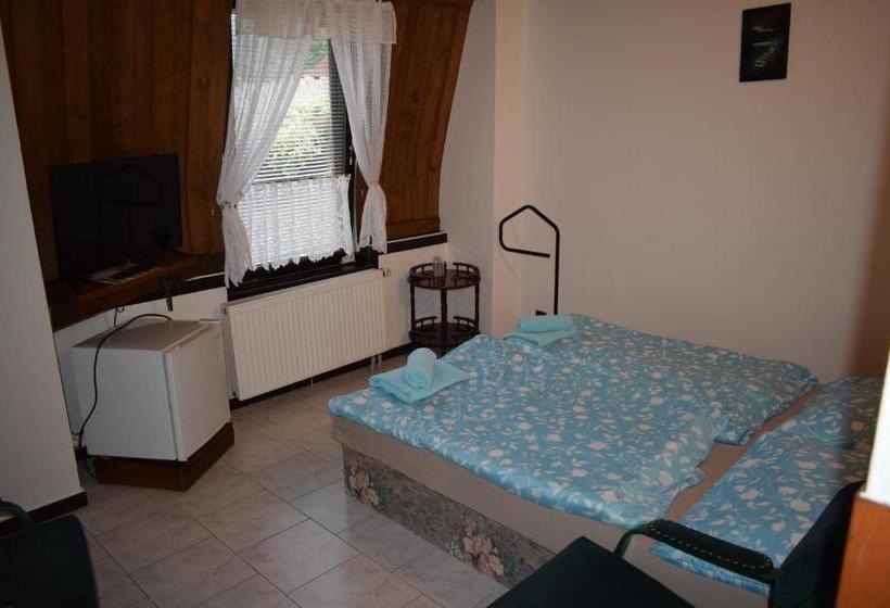 بنسيون Penzion Rony