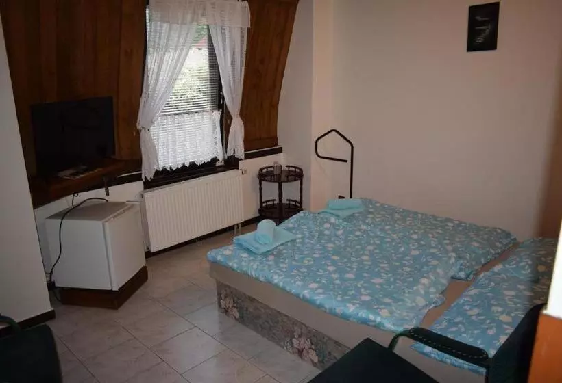 ペンション Penzion Rony