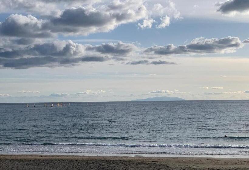 B&b Surf Rider ゲストハウスタイプ