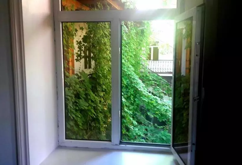 Bed and Breakfast Botanical