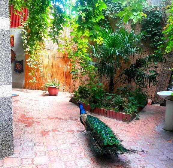 Bed and Breakfast Botanical