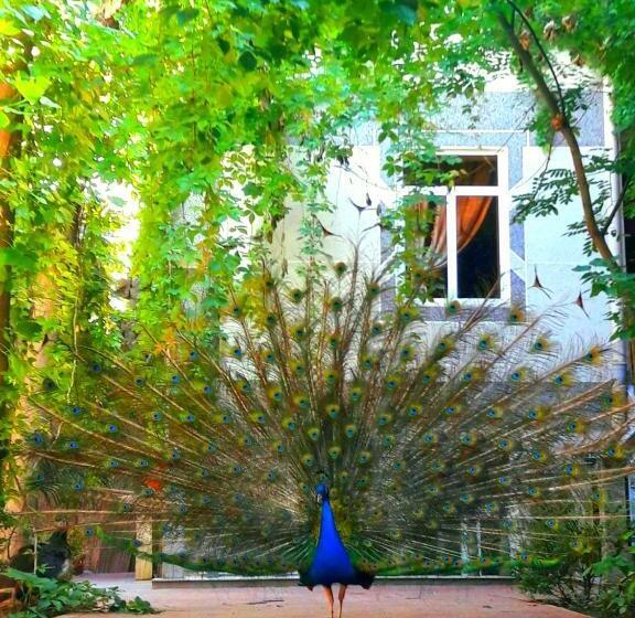 Bed and Breakfast Botanical