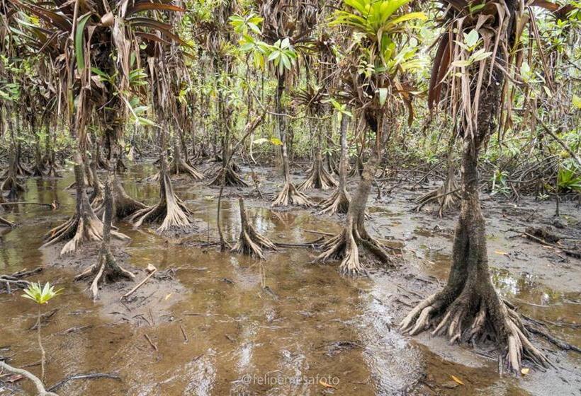 Hotel Safio. Una Casa En El Paraiso