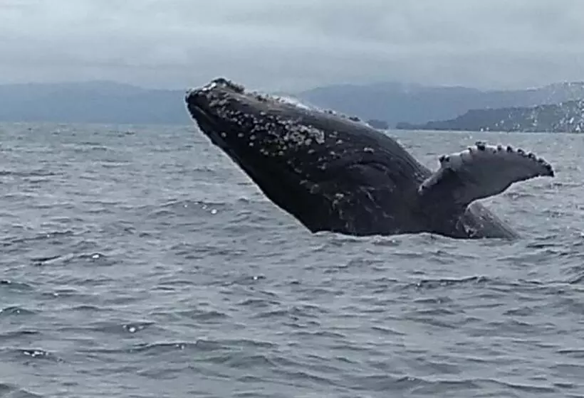 ホテル Safio. Una Casa En El Paraiso