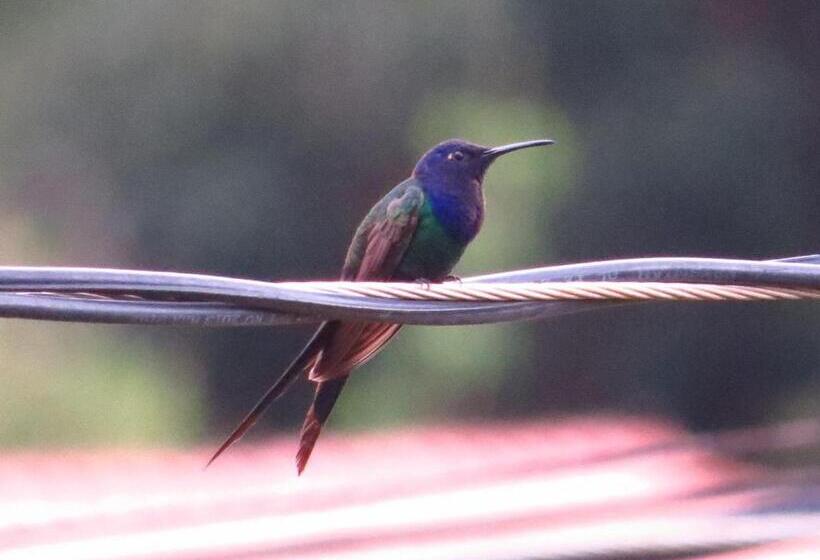 膳宿费 Pousada Café Da Roça