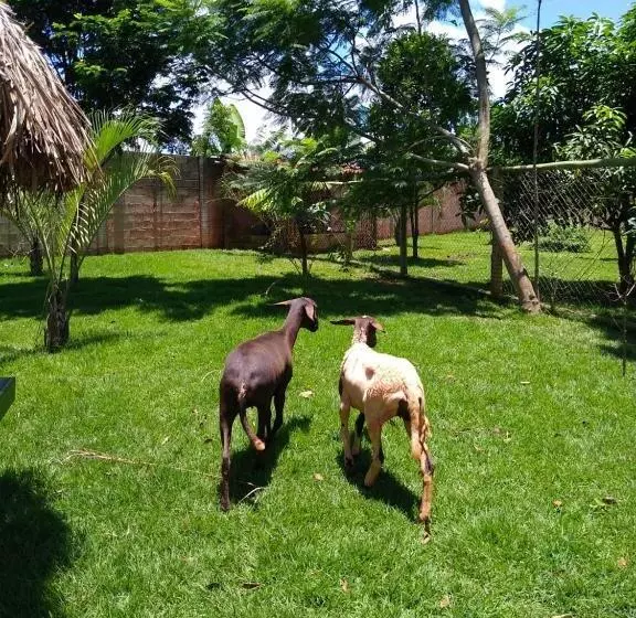 Majatalo Pousada Café Da Roça