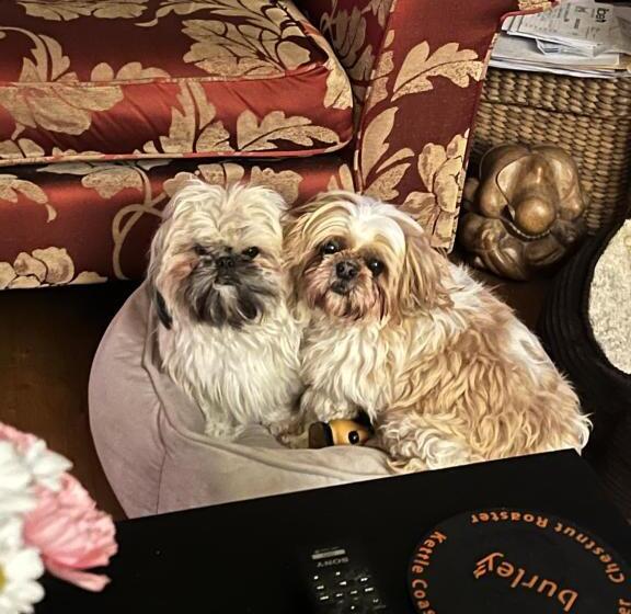 مبيت وإفطار Chez Jallot