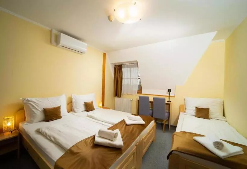 Aamiaismajoitus (B&B) Regia Panzió