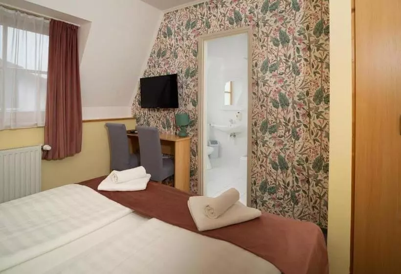 Aamiaismajoitus (B&B) Regia Panzió