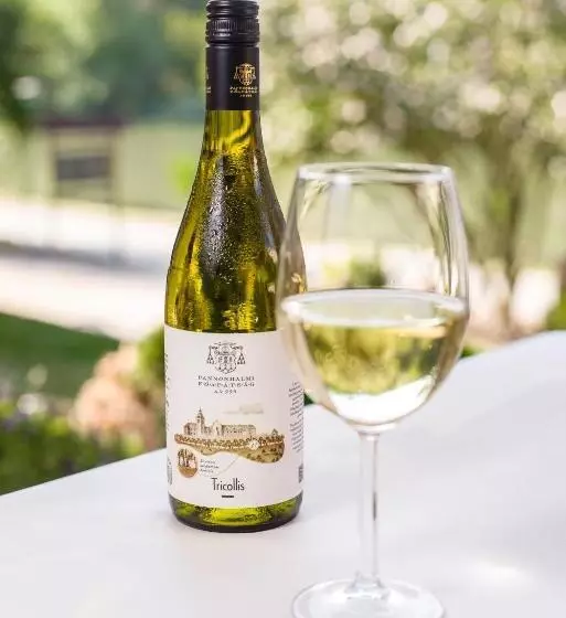 Aamiaismajoitus (B&B) Regia Panzió