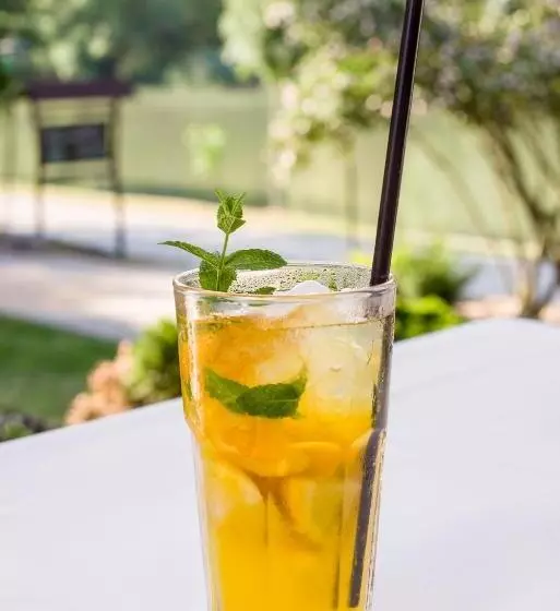 Aamiaismajoitus (B&B) Regia Panzió