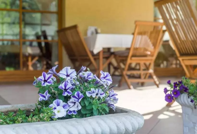 Aamiaismajoitus (B&B) Regia Panzió