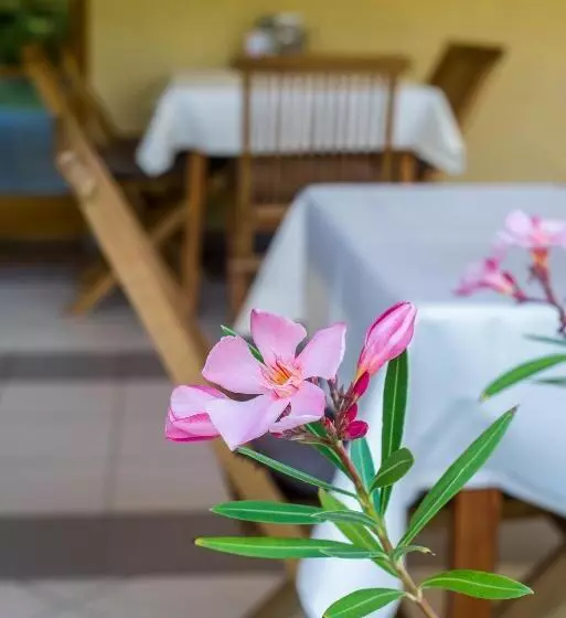 Aamiaismajoitus (B&B) Regia Panzió