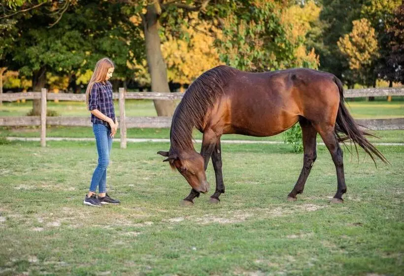 Aamiaismajoitus (B&B) Tarnóca Kúria