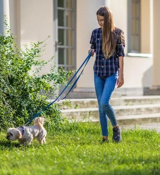 Aamiaismajoitus (B&B) Tarnóca Kúria