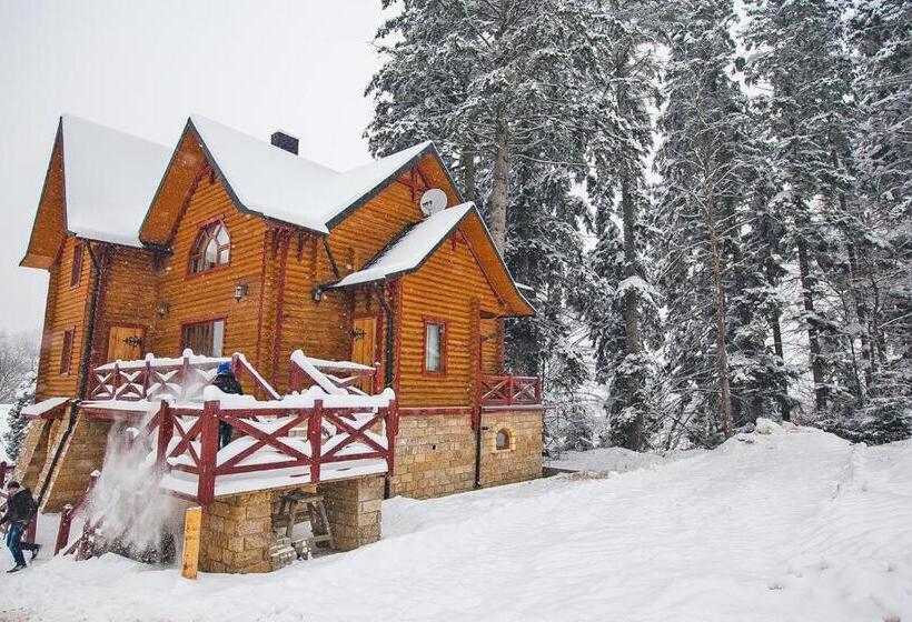 בית מלון כפרי норіс