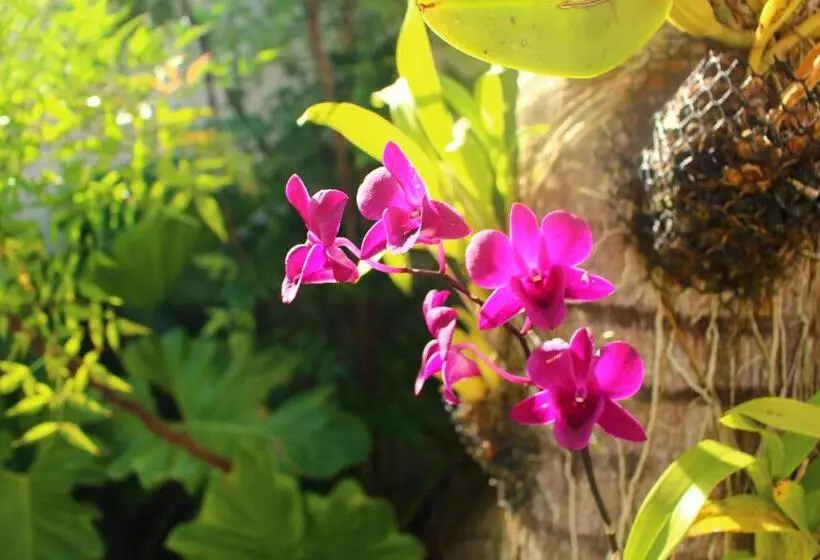 Hotelli Premier Garden