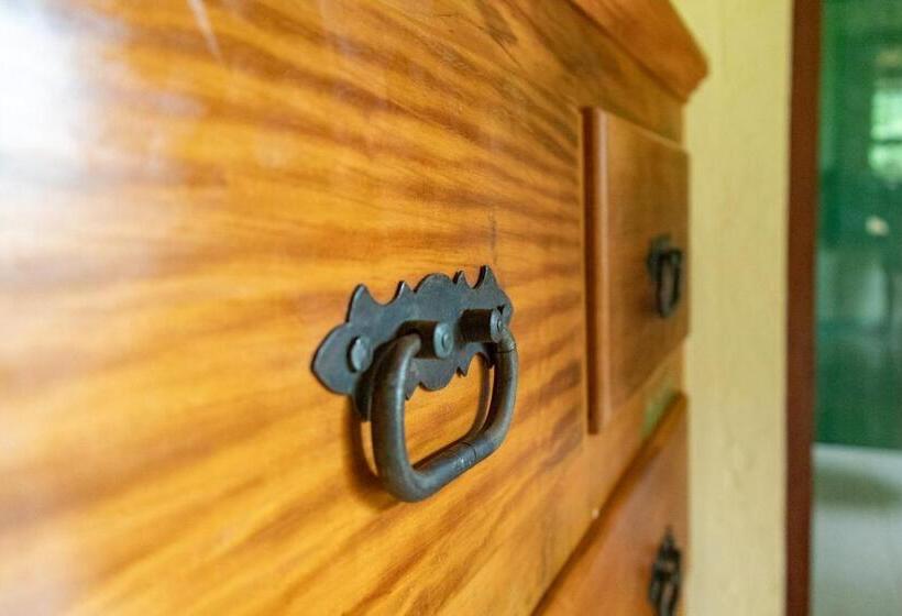 بنسيون Altamira Eco Retreat