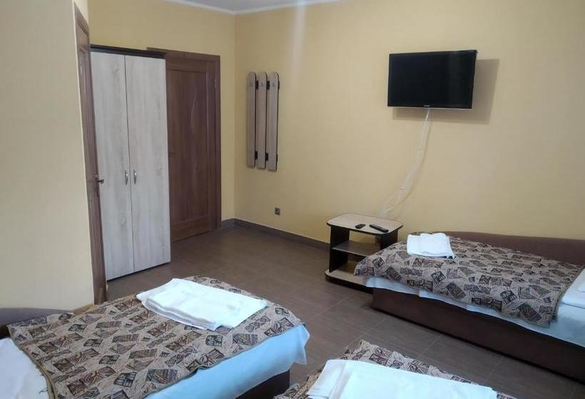 פנסיון Camelot