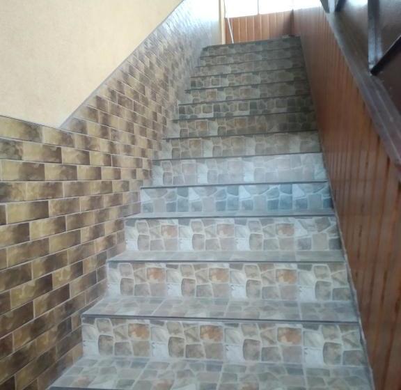 פנסיון Camelot