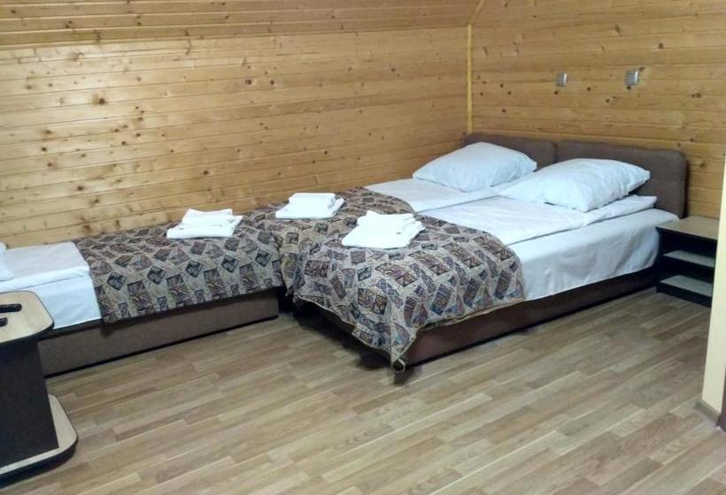 פנסיון Camelot