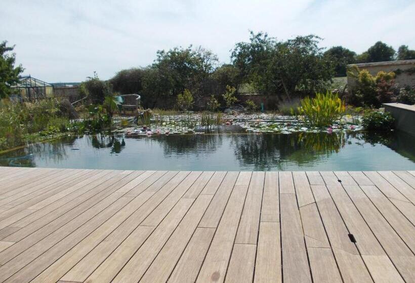 Пансион Maison D'hôtes Les Rainettes