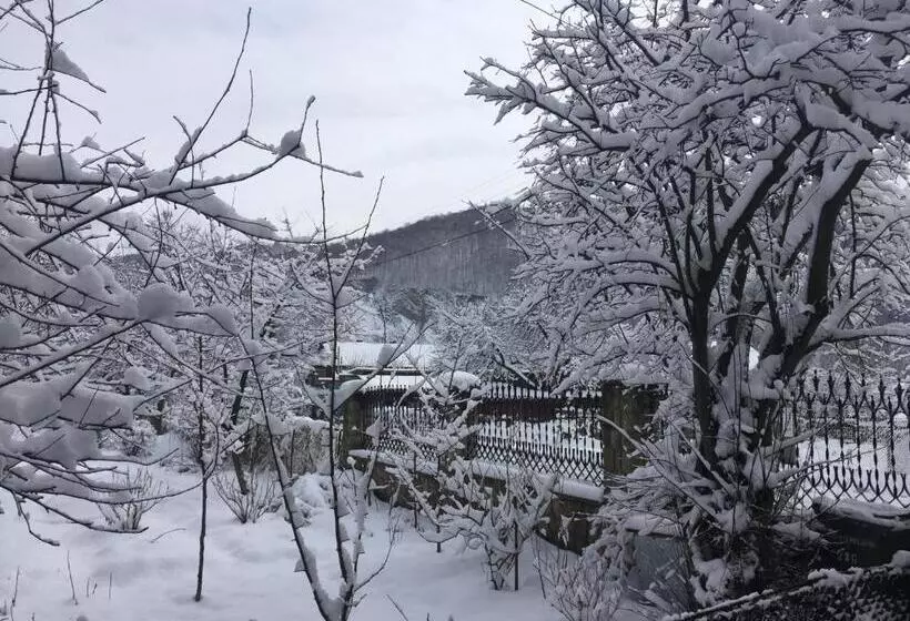 ペンション Zyma_lito Guest House