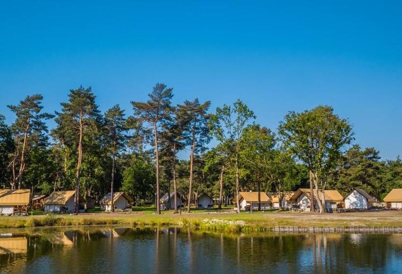 استراحتگاه Europarcs Zilverstrand