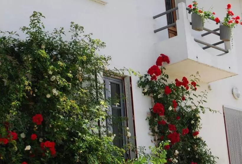 ベッドアンドブレックファースト Auberge St P Vegetarien Bnb