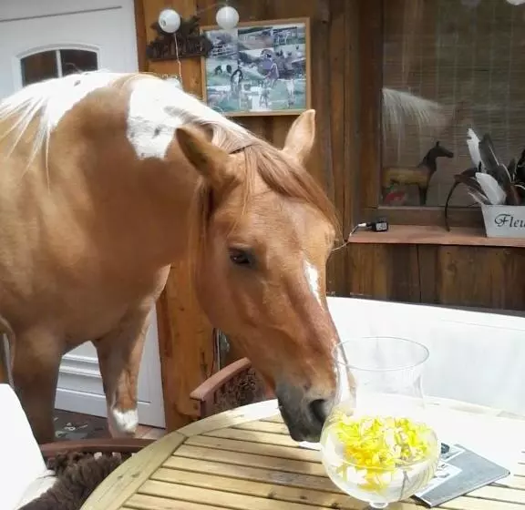 ホテル Funny Farm
