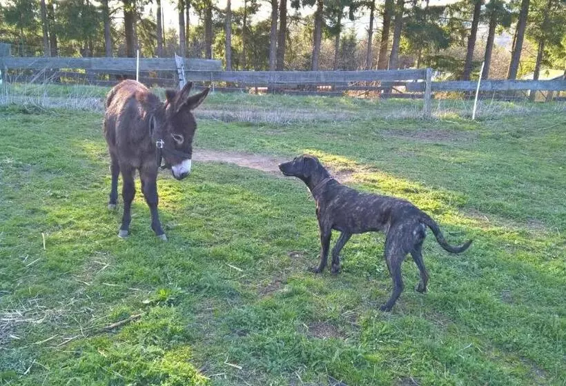 ホテル Funny Farm
