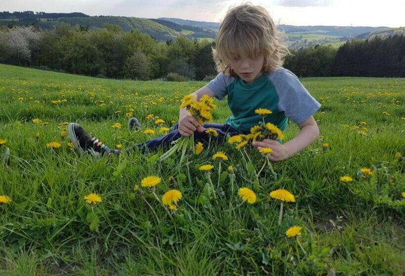 בית מלון כפרי Funny Farm