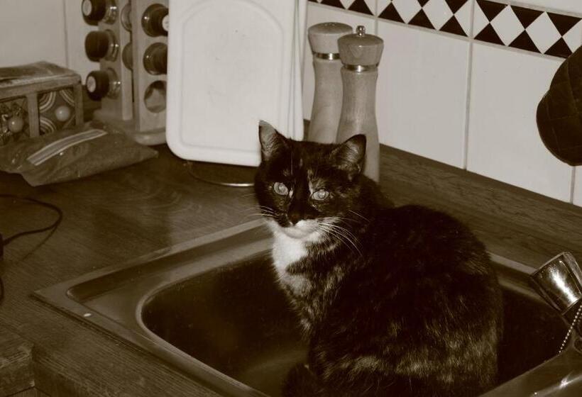 בית מלון כפרי Funny Farm