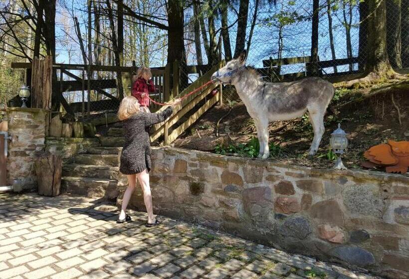 בית מלון כפרי Funny Farm