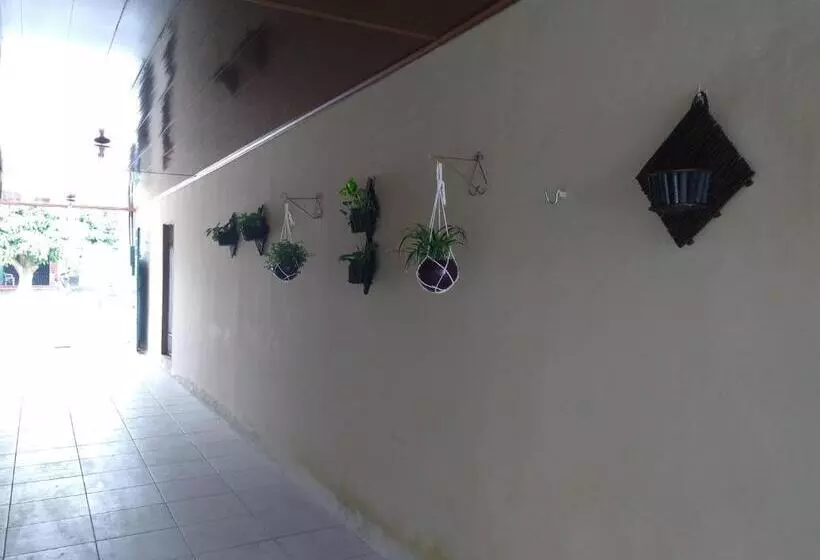 ペンション Mapará Beach Hotel Baião Pará