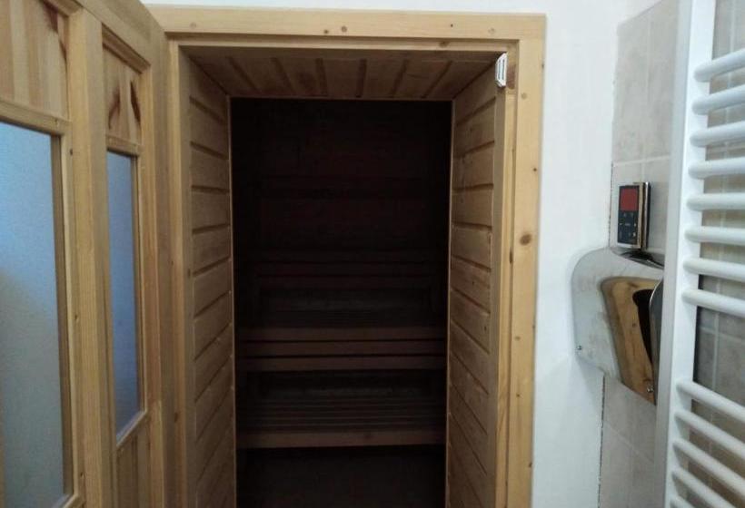 بنسيون Penzion Sněženka