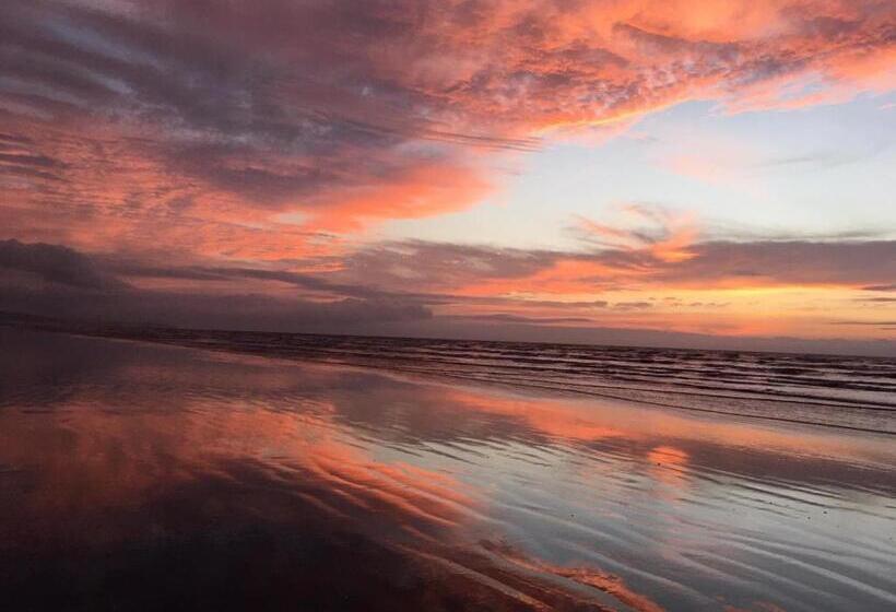 بنسيون Quinta El Mamey