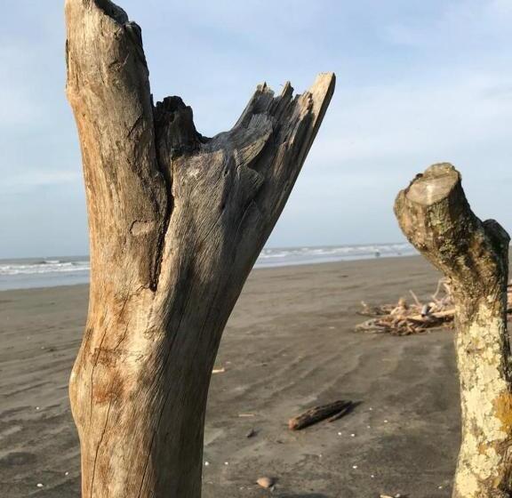 بنسيون Quinta El Mamey