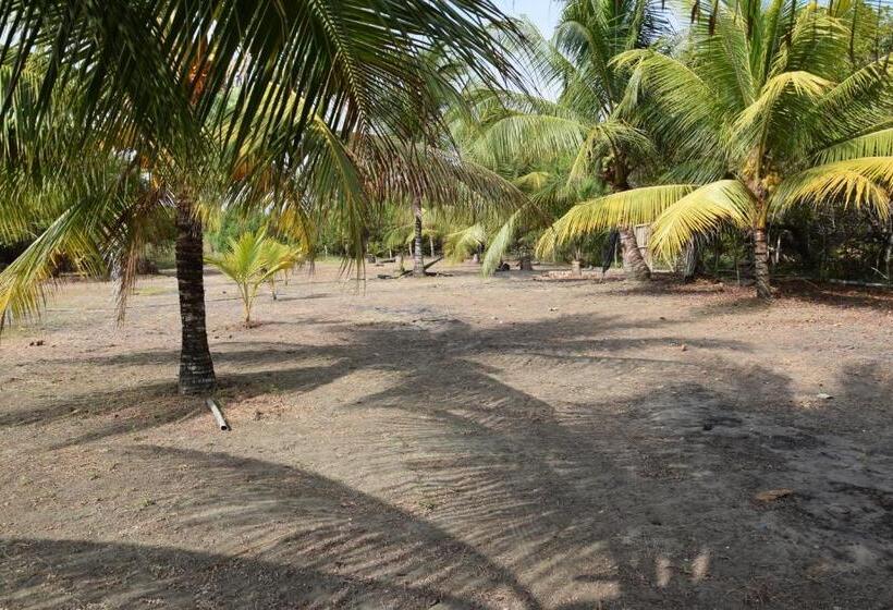 بنسيون Quinta El Mamey